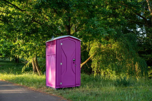 Best Affordable portable toilet rental  in St Ann, MO